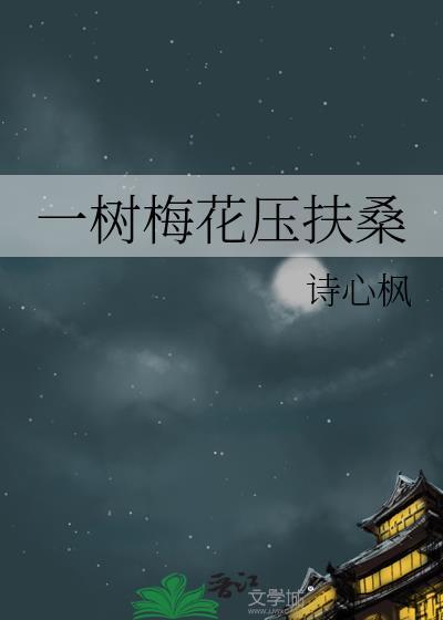南影北照全文免费阅读
