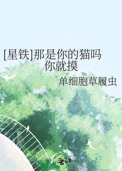 我曾遗落星河