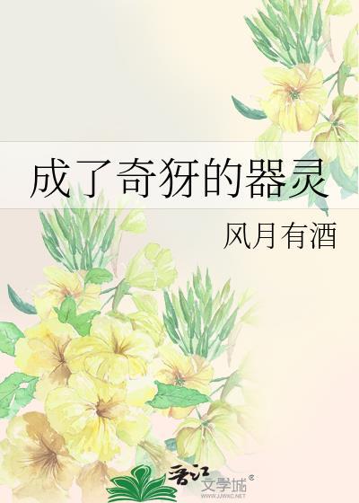 风雪领主