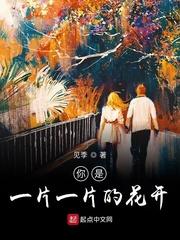 农家状元郎