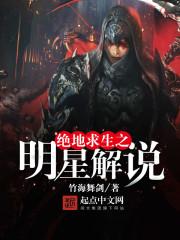 谍报代号我是烛影