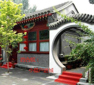 丧尸大佬疯又美，上交系统杀疯了