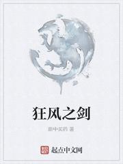 情满四合院之双穿何雨柱
