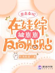 刀剑神域：完美人生