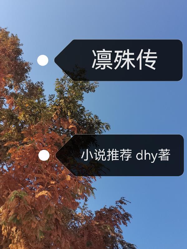 海贼王：黄昏纪元