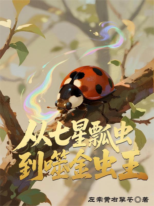 海贼王之拳御天下