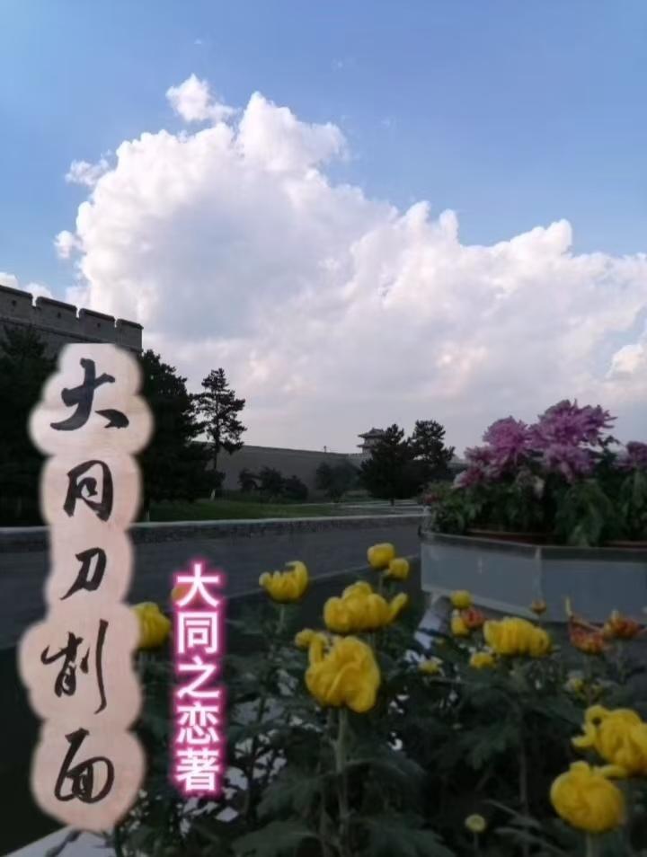 虎将去抗日