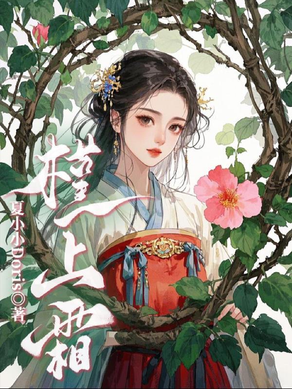 武朝风云之谋仕