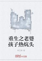 谍影血色不羁TXT