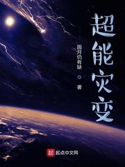 捡猫