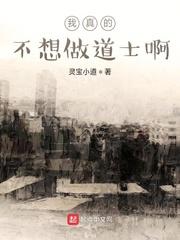 极品驸马