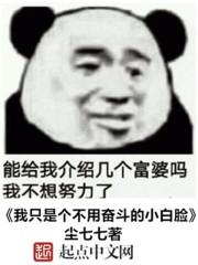 我在美国当赘婿