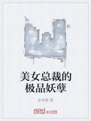 冷酷暗卫他养了两个崽