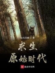 魔武大陆行记
