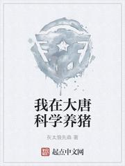 白苓傅琛小说