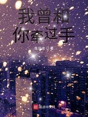 精灵之山巅之上