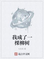 形而上梦