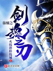 都市高手叶昊
