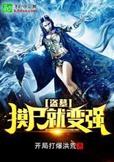 大秦风骨：王翦传