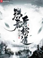 宋韵流年