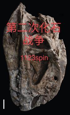 夏黎陆定远