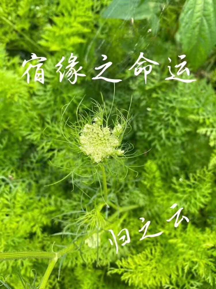 重回2008，我的另类官场路