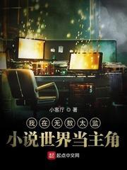 怨偶佳成小说by苏棠灵