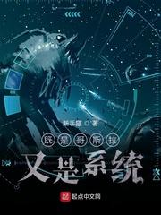 共享金主np