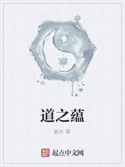 苏占小说