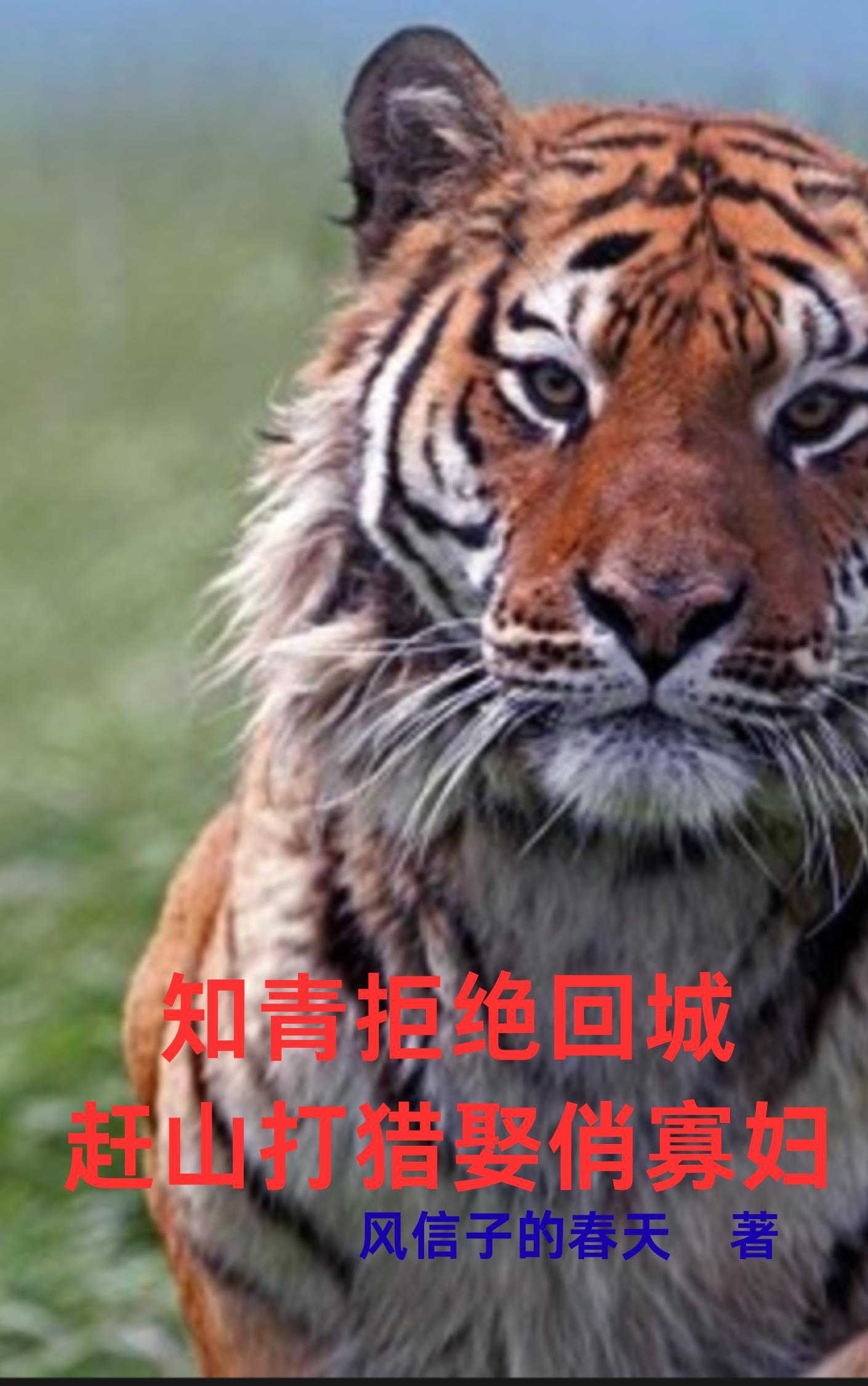 我在民国搞潜伏免费阅读