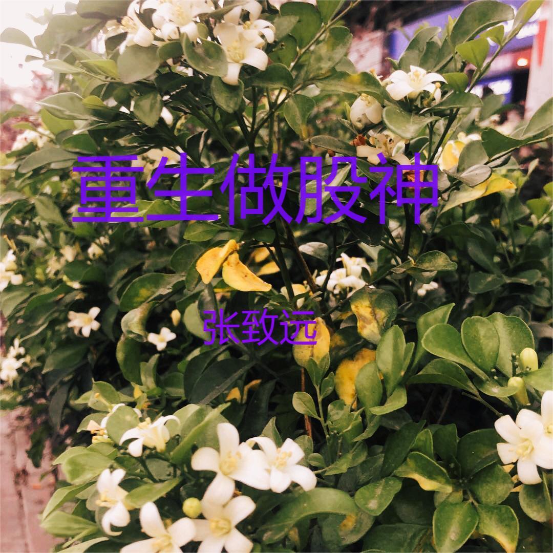 宝可梦：精灵友人帐